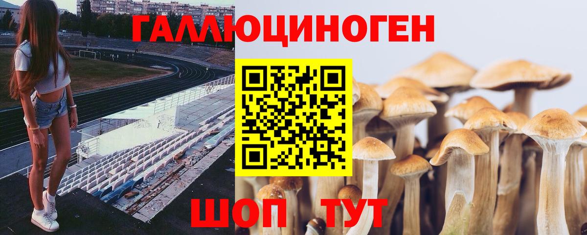 Галлюциногенные грибы MAGIC MUSHROOMS Ижевск