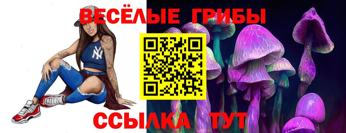Галлюциногенные грибы Magic Shrooms  Псилоцибиновые грибы MAGIC MUSHROOMS  Ижевск  Вход с VPN 